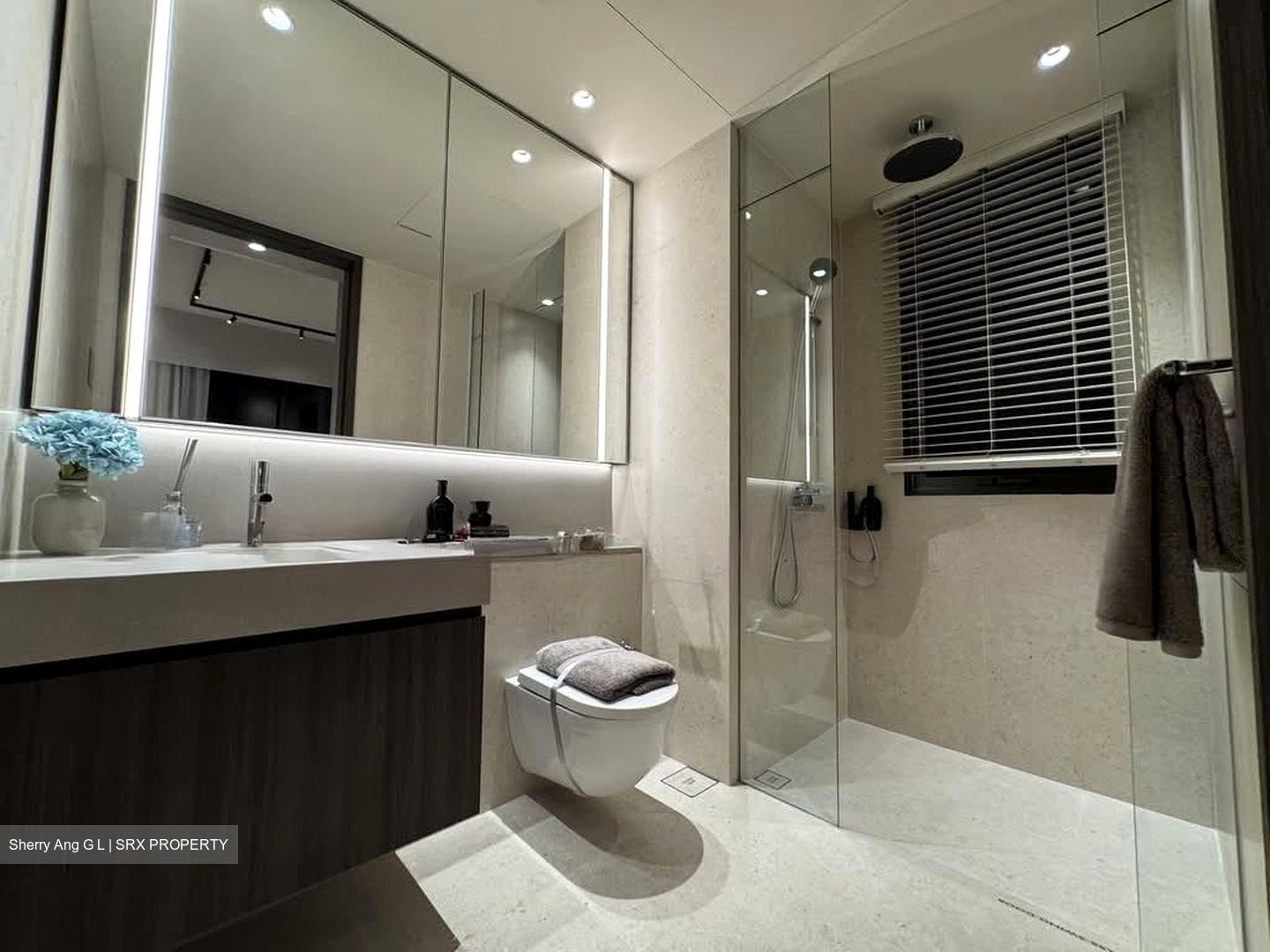 Hudson Place Residences (U/C) (D5), Apartment #603064581